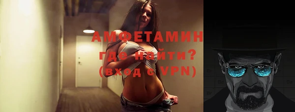 крисы Алексин