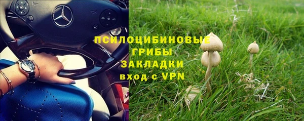 крисы Алексин