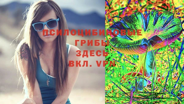 крисы Алексин
